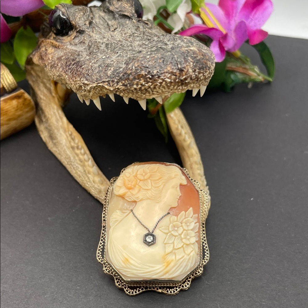 Cameo carved shell 14k gold brooch vintage 🔥